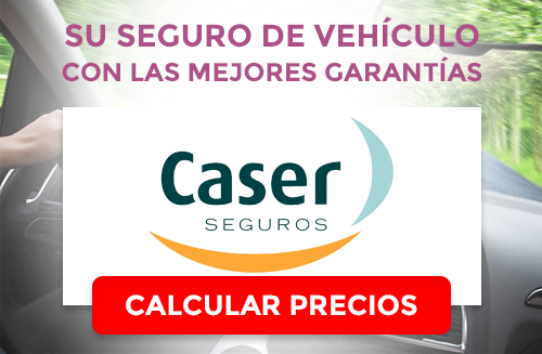 Vehículos Caser