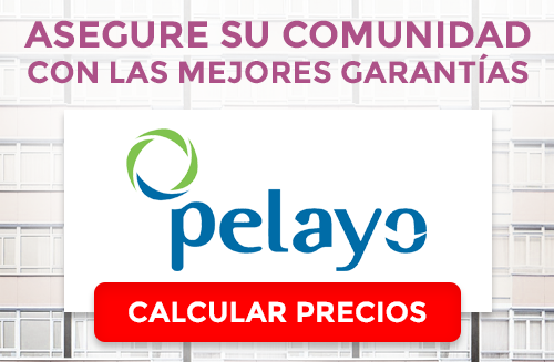 Comunidad Pelayo